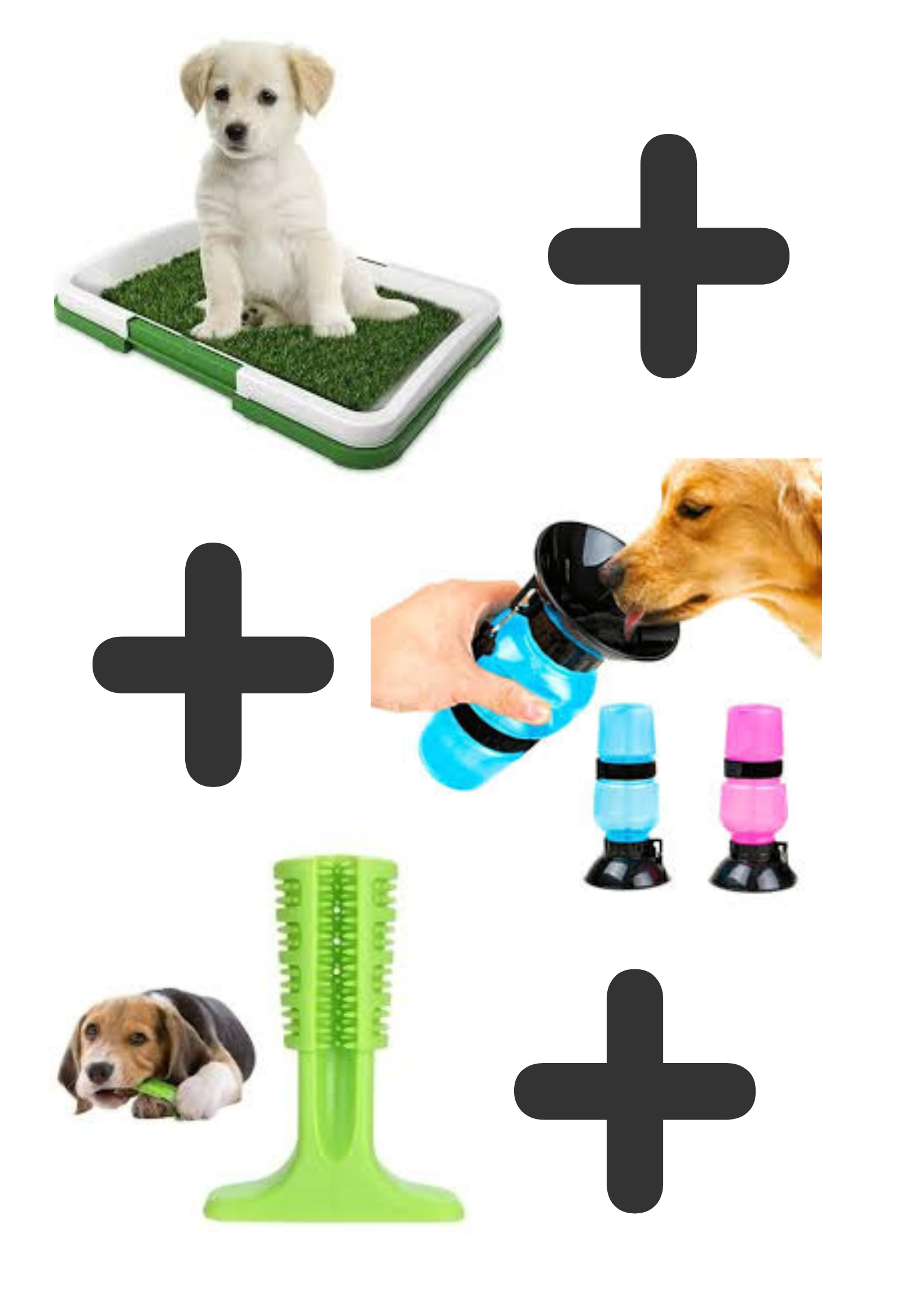 Tapete pequeño+Juguete pequeño+Bebedero